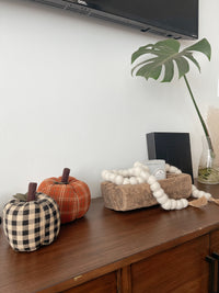 Thumbnail for Cream Felt Ball Garland Garland