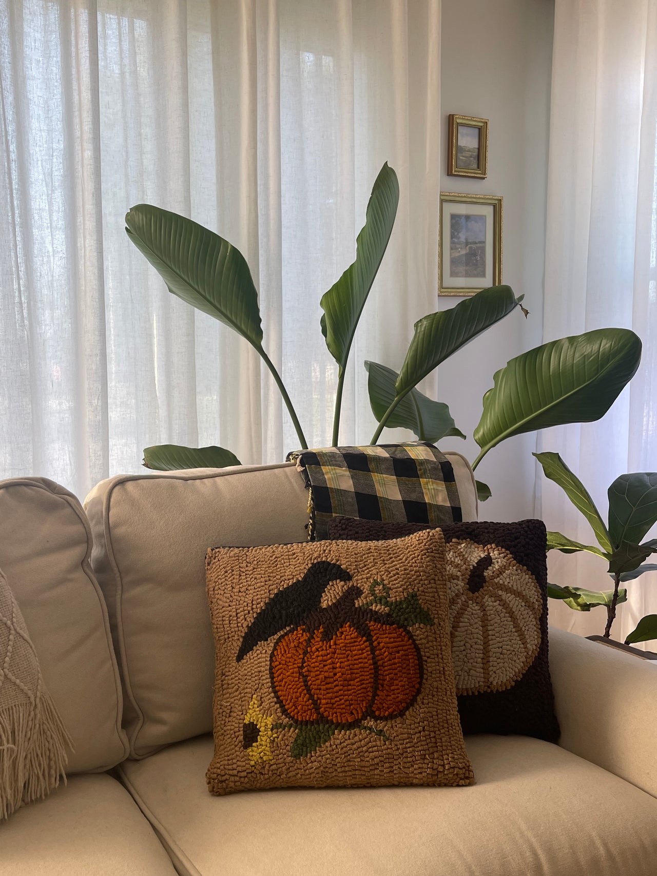 Fall Sampler
