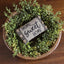 Home Sweet Home Fill set of 3 FL234911