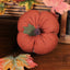 Pumpkin Spice Ticking Pumpkin 6 In x 4 In ON843213