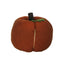 Pumpkin Spice Ticking Pumpkin 8 In x 6 In - Home Collections by Raghu