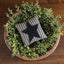 Star Ticking Fill set of 3 FL235011