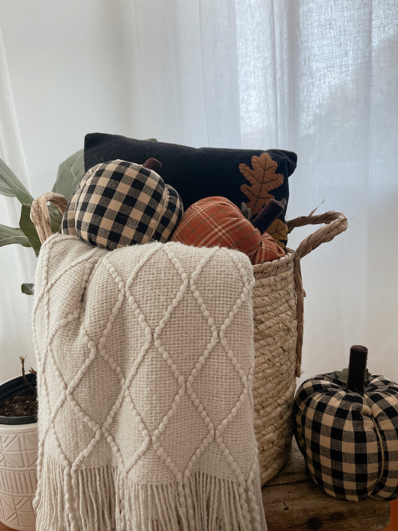Fall Leaves