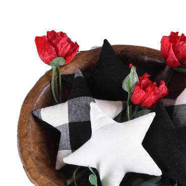 Farmhouse Star Fills Set of 5 FL000056