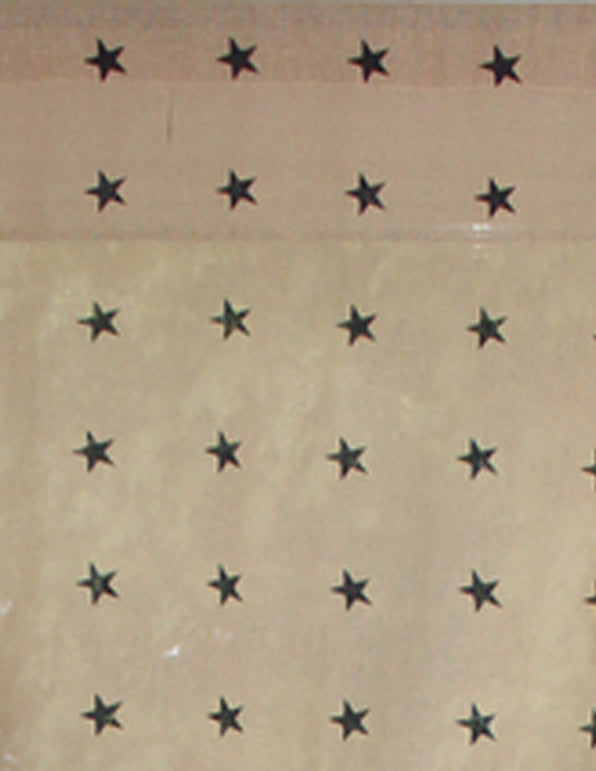 Heirloom Star Nutmeg Panel H60118ST