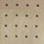 Heirloom Star Nutmeg Panel H80118ST