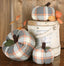 Fall Sky Gray Ornament ON011521