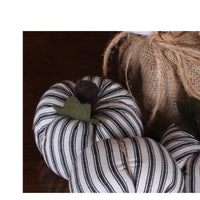 Thumbnail for F White Black Ticking Pumpkins Set of 3 ON846211