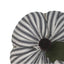 F White Black Ticking Pumpkin 6 Inx4 In ON846213