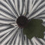 F White Black Ticking Pumpkin 6 Inx4 In ON846213