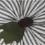 F White Black Ticking Pumpkin 8 Inx6 In ON846214