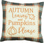 Fall Sky Gray Pillow  - Interiors by Elizabeth