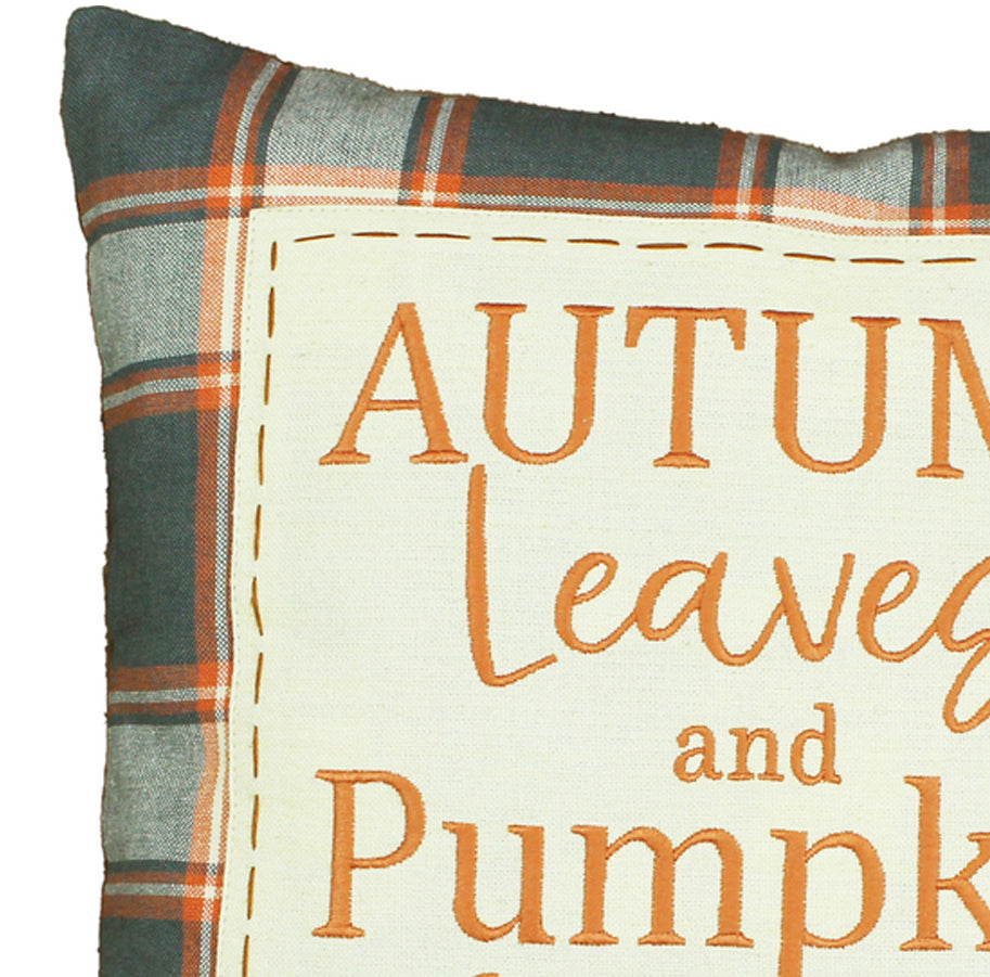 Fall Sky Gray Pillow PL011519