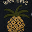 Pineapple Welcome PLAR00J2